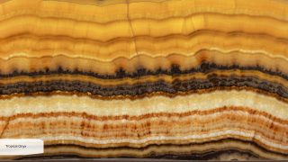 Tropical Onyx