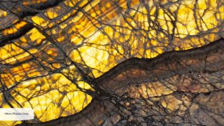 Yellow Picasso Onyx