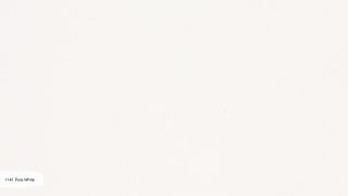 1141 Pure White
