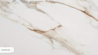 Calacatta Dorato